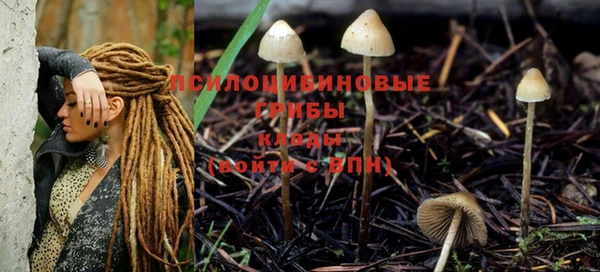jwh Ладушкин